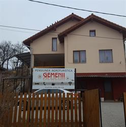 GEMENII, Hida program de funcționare