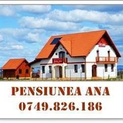 ANA, Odoreu program de funcționare