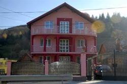FLOARE DE BUCOVINA, Bucşoaia program de funcționare