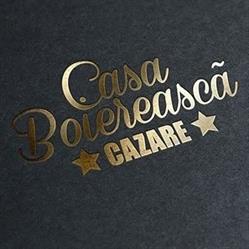CASA BOIEREASCĂ, Craiova program de funcționare