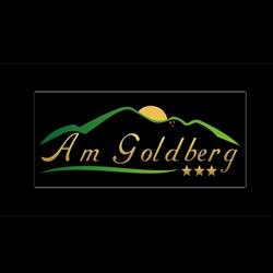 AM GOLDBERG, Sighişoara program de funcționare