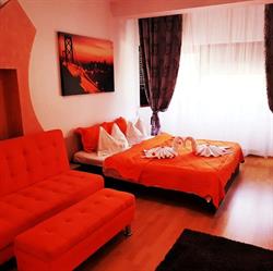 RED ROSE, Timişoara program de funcționare