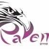 RAVEN ACCOUNTING SRL, Lugoj program de funcționare