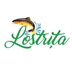 Lostriţa, Baia Mare program de funcționare