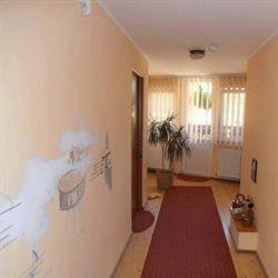 Pensiunea Domar-Alina, Şelimbăr program de funcționare