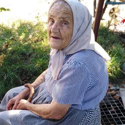 AKADEMOS, Arad program de funcționare