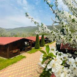 CASA ECOLOGICA, Mehadia program de funcționare