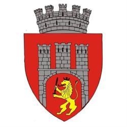 Primaria Sighisoara, program de funcționare
