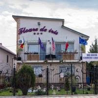 FLOARE DE IRIS, Vama Veche program de funcționare