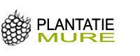 Plantatie mure, Ciolpani program de funcționare