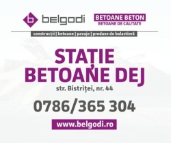 Belgodi, Dej program de funcționare