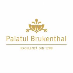 Palatul Brukenthal Avrig, program de funcționare