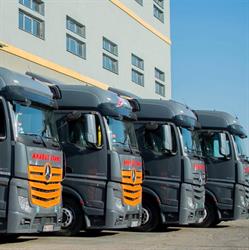 Anabus Trans SRL, Oradea program de funcționare