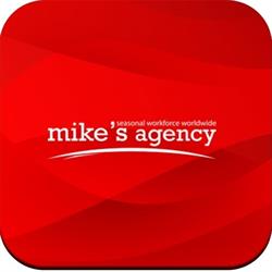 Mike's Agency S.r.l, Cluj-Napoca program de funcționare