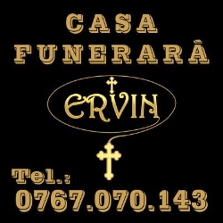Casa funerara Ervin, Alexandria program de funcționare