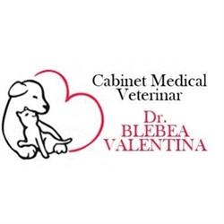 Blebea Valentina, Cabinet Medical Veterinar Si Pensiune Canina, Călăraşi program de funcționare