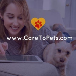 CareToPets, Bucureşti program de funcționare