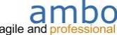 Ambo Software, Cluj-Napoca program de funcționare