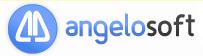 Angelosoft Computers SRL, Craiova program de funcționare