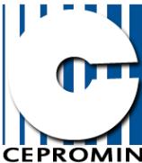 Cepromin SA, Deva program de funcționare