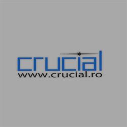 Crucial Systems & Services, Constanţa program de funcționare