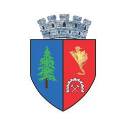 Primaria Municipiului Brad, program de funcționare