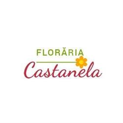 CASTANELA SRL, Rădăuţi program de funcționare