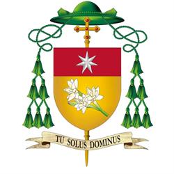 Episcopia Romano-Catolica de Iasi, program de funcționare