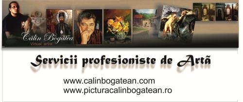Calin Bogatean PFA, Nazna program de funcționare