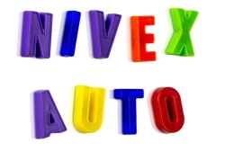 NIVEX VERGI AUTO SRL, Gostavăţu program de funcționare