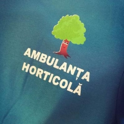 PFA Toma V Mărioara, Dumbrăviţa program de funcționare
