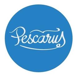 Pescăruş, Bucureşti program de funcționare