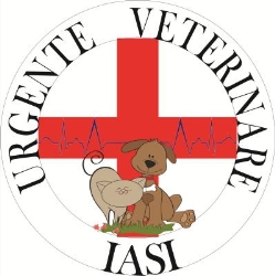 Urgente Veterinare Iasi, program de funcționare