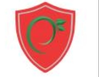 SALTIC UTIL SERV SRL, Călăraşi program de funcționare