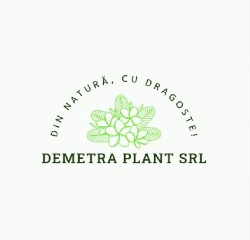 DEMETRA PLANT SRL, Frasin program de funcționare