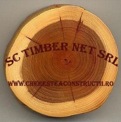 TIMBER NET SRL, Chitila program de funcționare