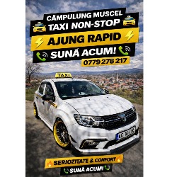 Nico & Tibi Speed srl în Câmpulung, Visoi - program de funcționare
