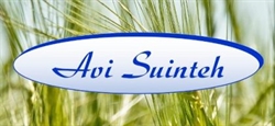 Avi Suinteh, Carei program de funcționare