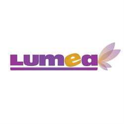 Lumea Basmelor International, Târgu Mureş program de funcționare