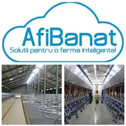 Afibanat Srl, Săcălaz program de funcționare