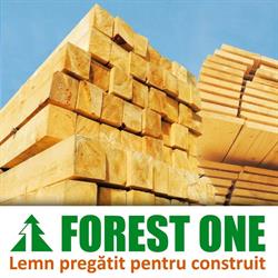 Forest One, Moşniţa Nouă program de funcționare