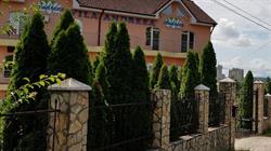 Vila Andreea, Sânmartin program de funcționare