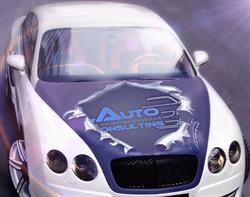Auto Consulting, Cluj-Napoca program de funcționare