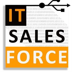 IT Sales Force, Bucureşti program de funcționare