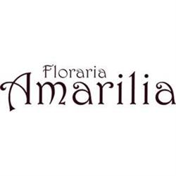 Floraria Amarilia, Galaţi program de funcționare
