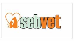 SebVet, Focşani program de funcționare