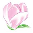 Cabinet Dermatologie Brasov Dr. Negulici-Cristea Violeta, program de funcționare