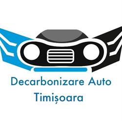 Decarbonizare Auto, Timişoara program de funcționare