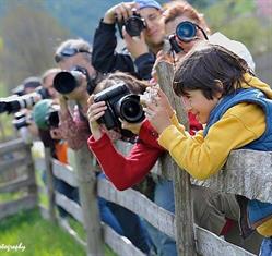 Scoala de fotografie NewAge Photography, Bucureşti program de funcționare