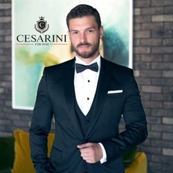 Cesarini, Cluj-Napoca program de funcționare